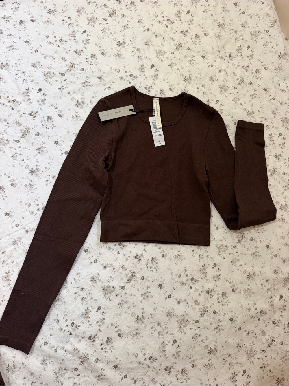 Aritzia Brown Cropped Crewneck Long-Sleeve Top
